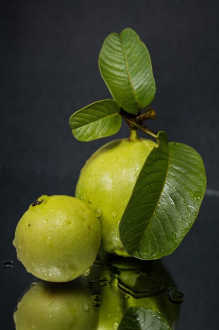 leaf, fruit, food